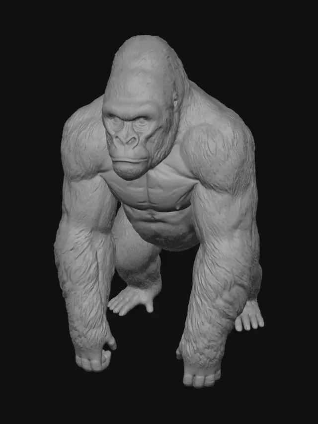 3D model for Skulptur eines gorillas original getreu mit fell Struktur