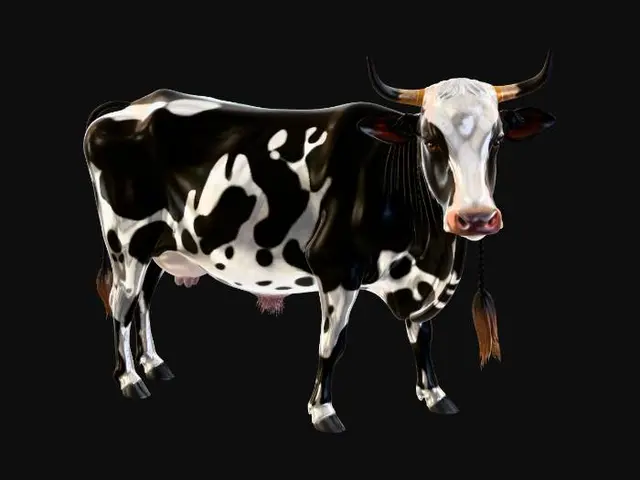 3D model for cow