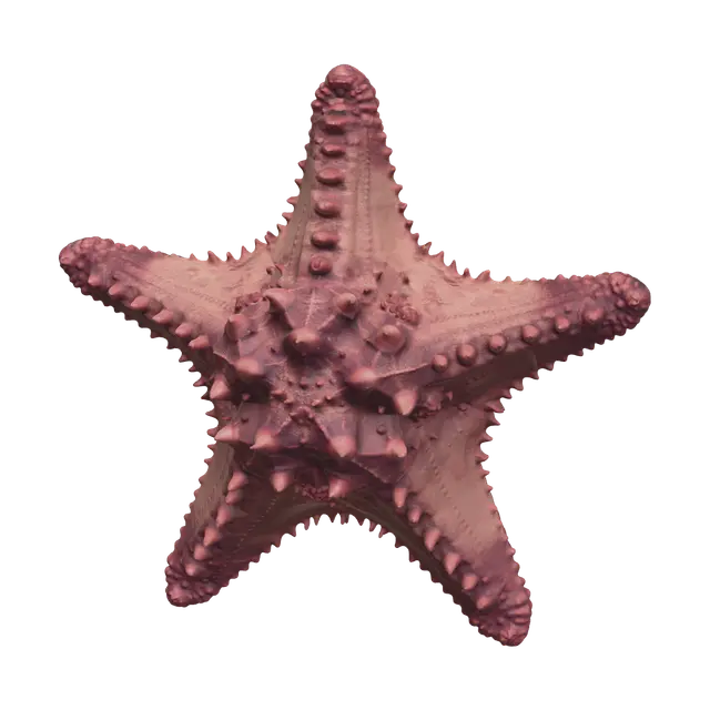 Stylized Seastar - Starfish 3D model, vytvořený pomocí AI