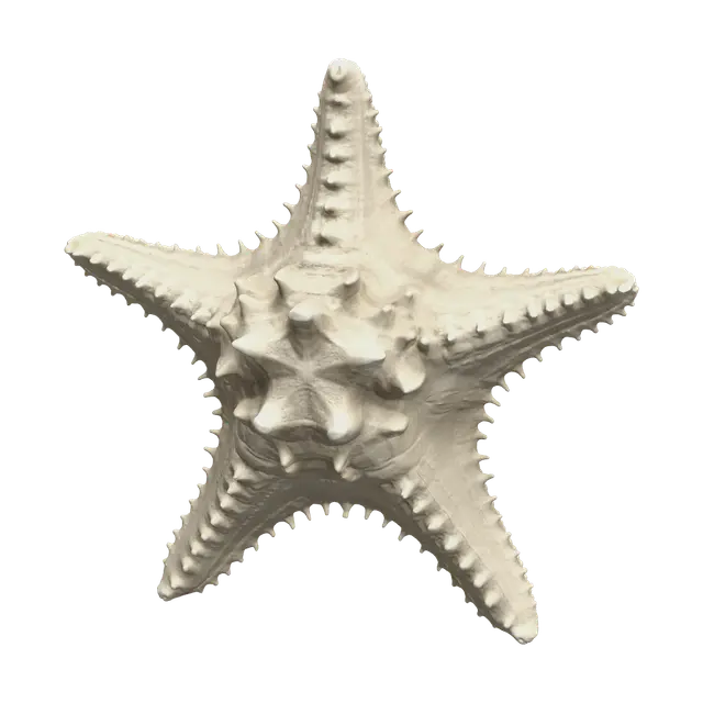 3D model for Low-Poly Seastar