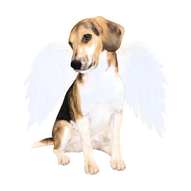 3D model for Angel of the Meadow