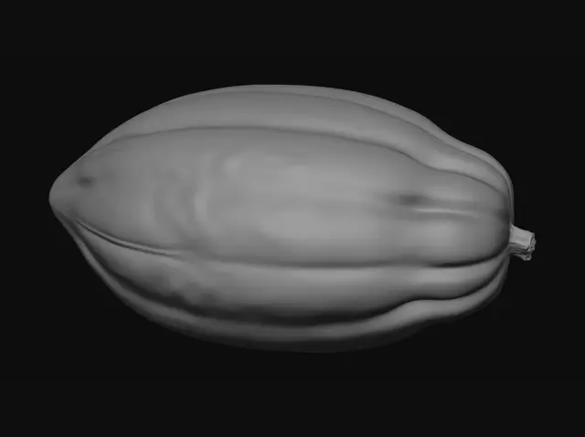 3D model for Polished Seed Pod