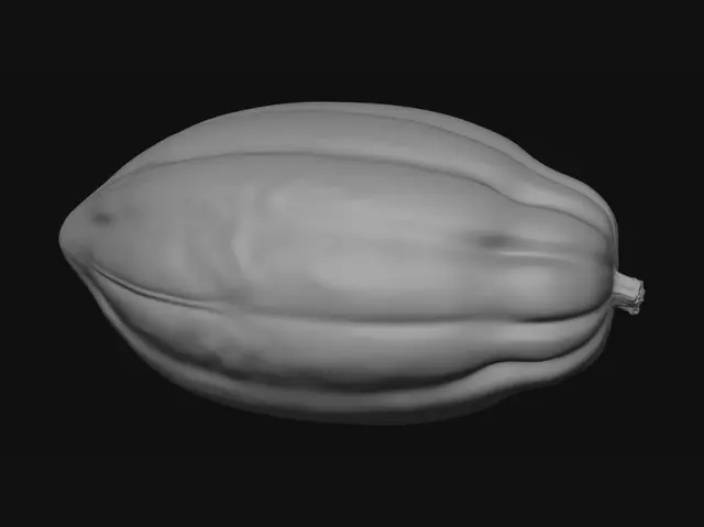 3D model for Polished Seed Pod