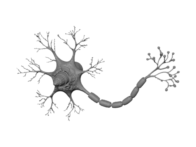 3D model for Purple Neuron with Myelinated Axon