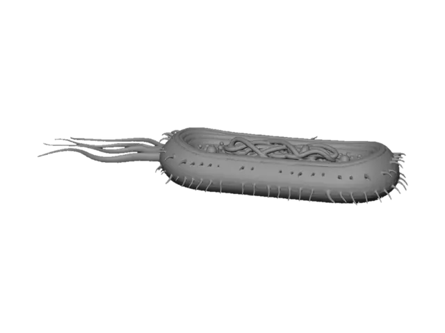 3D model for Prismatic Microbe