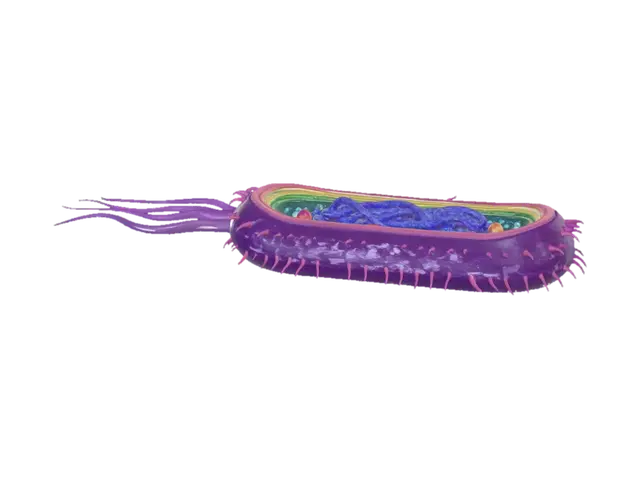 3D model for Prismatic Microbe
