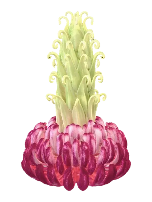 Magnolia 3D model, vytvořený pomocí AI