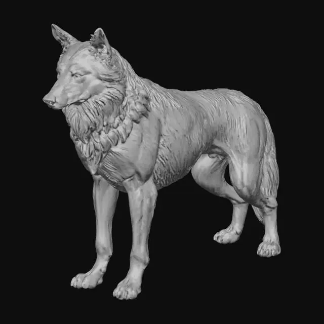 3D model for Cinematic bronze statue of a wolf in a strong standing pose, head turned slightly, intense directional lighting creating bold highlights and deep shadows on the metal fur, faint atmospheric haze behind the statue, dark gradient background, heroic monumental mood, high-detail 3D-printable sculpture.