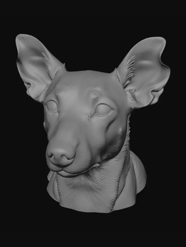 3D model for Red Bed Pup
