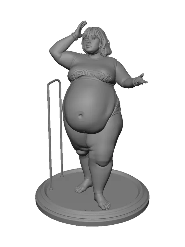 3D model for Pregnant Confidence