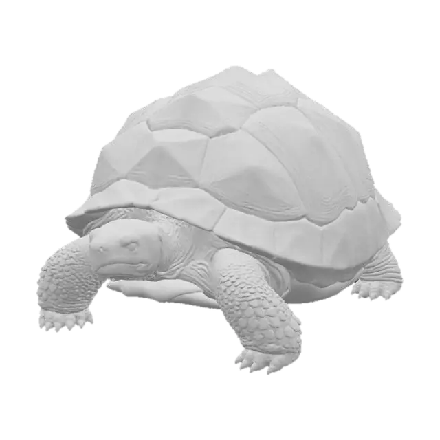 3D model for photo realistic Stoneback Tortoise – A rugged, moss-covered reptile with shell plates that shift like living rock, absorbing minor blows and releasing stored sunlight as a healing glow.