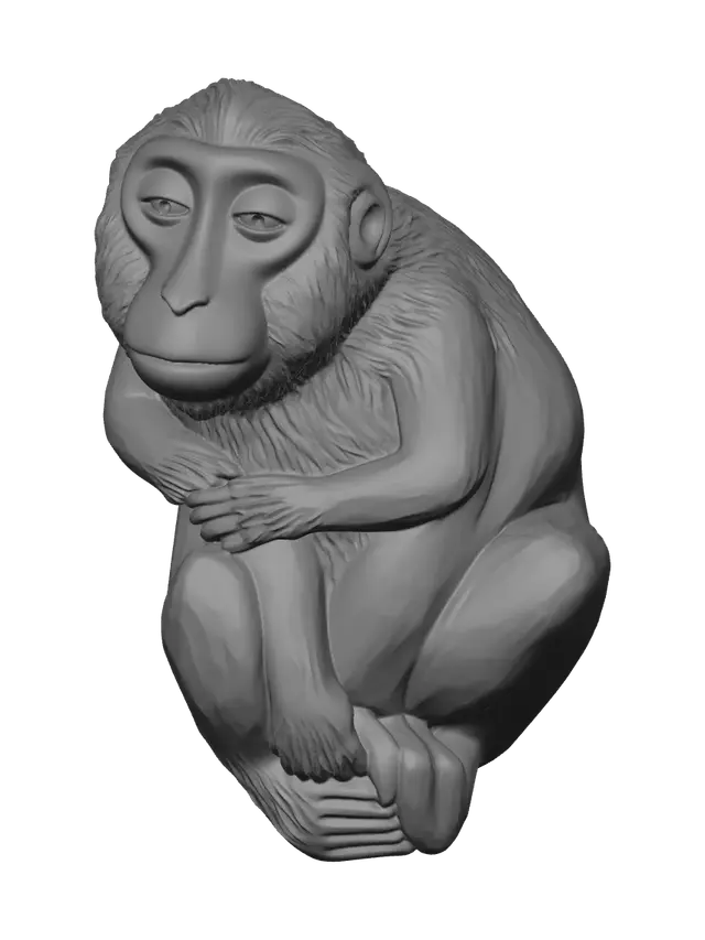 3D model for Goofy Ahh Monkey