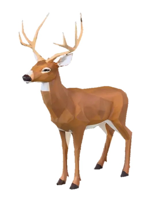 3D model for Deer_male