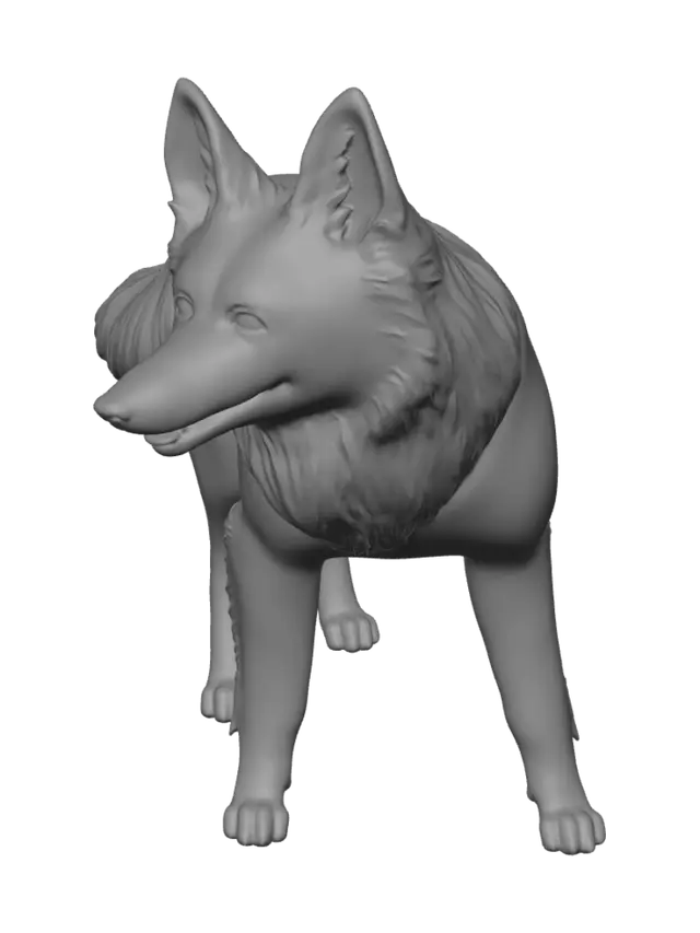 3D model for furry shepherd dog, slender body with ears, tail, and legs, not very muscular