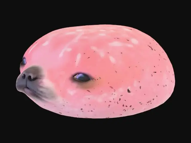 3D model for Mocha Seal