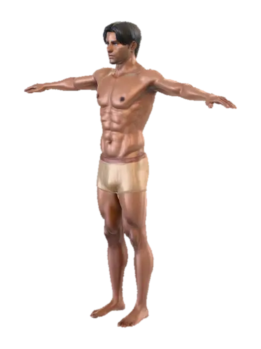Human T-Pose Study 3D model, vytvořený pomocí AI