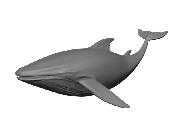 3D model for whale