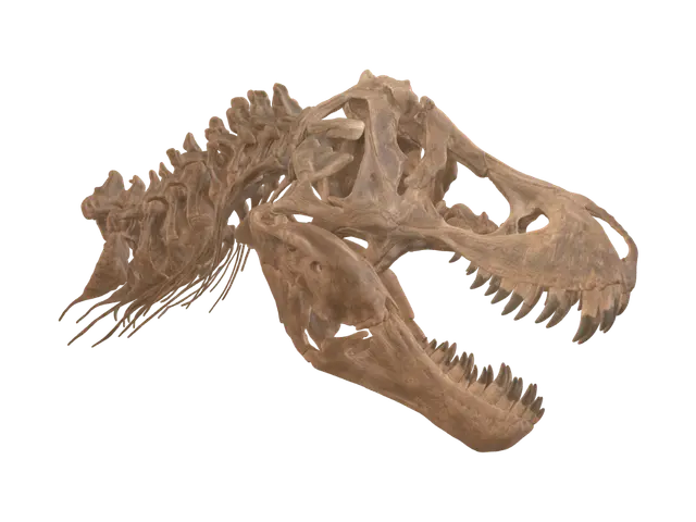 Tyrannosaurus rex Skull and Vertebrae - Fossil 3D model, vytvořený pomocí AI