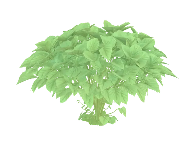 A mature potato plant spreading wide horizontally, multiple branches extending… - Isolated 3D model, vytvořený pomocí AI