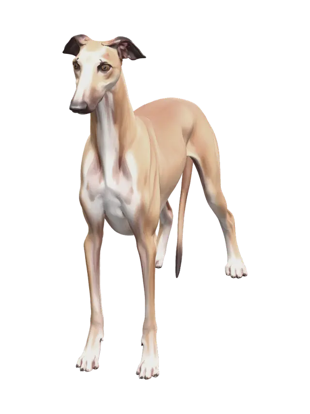 3D model for Modern Greyhound