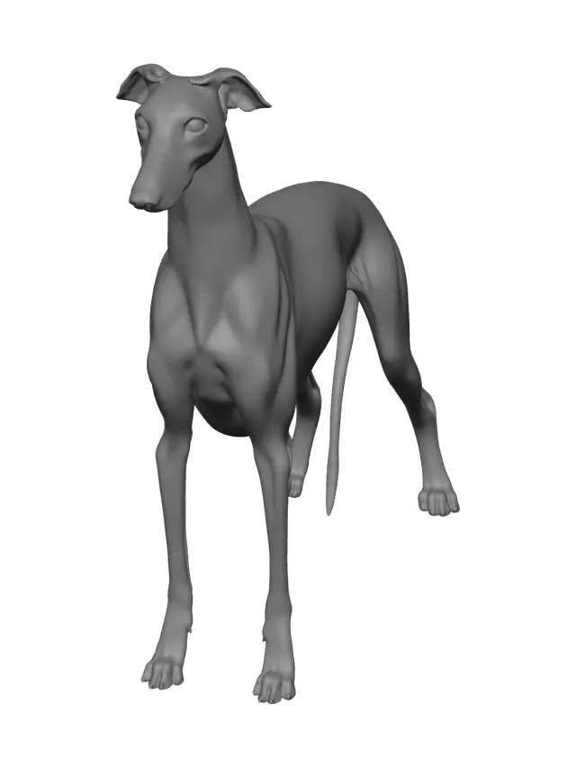 3D model for Modern Greyhound