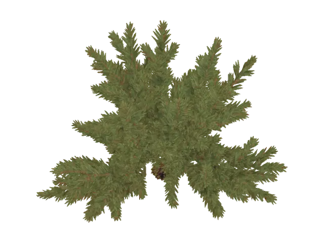 3D model for Evergreen Sprig with Pine Cone