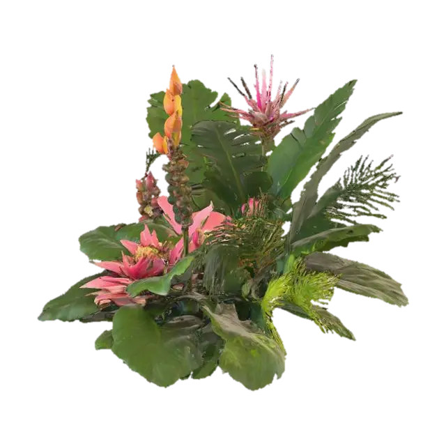 exotic jungle plant collection 的 AI 生成 3D 模型