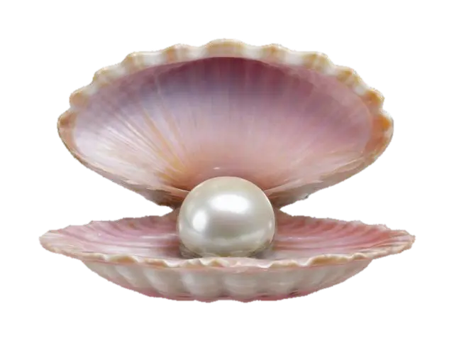 Elegant seashell (mussel) slightly open, revealing a shiny pearl inside. The shape… 3D model, vytvořený pomocí AI