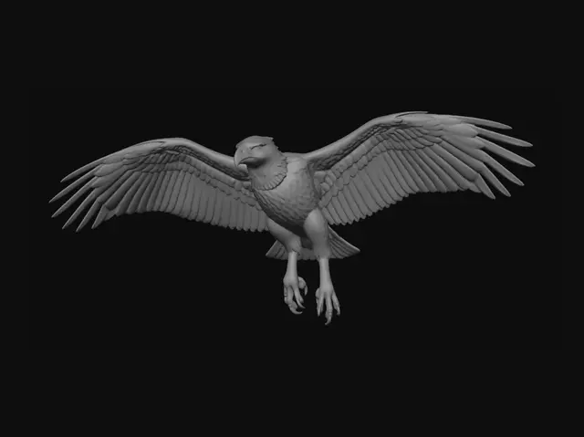 3D model for Soaring Raptor