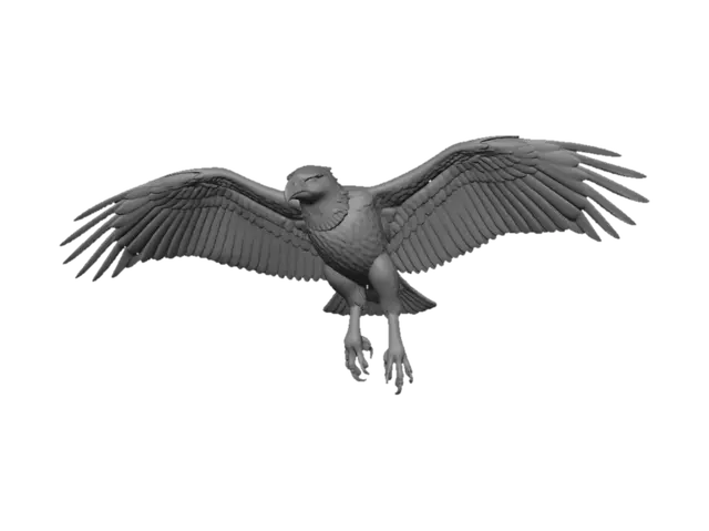 3D model for Soaring Raptor