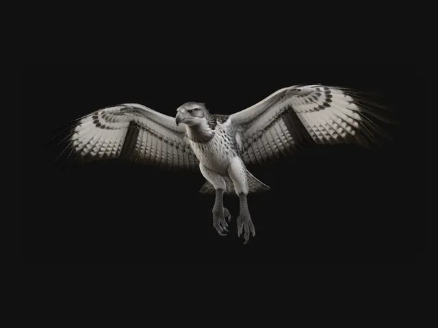 3D model for Soaring Raptor