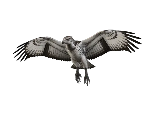 3D model for Soaring Raptor
