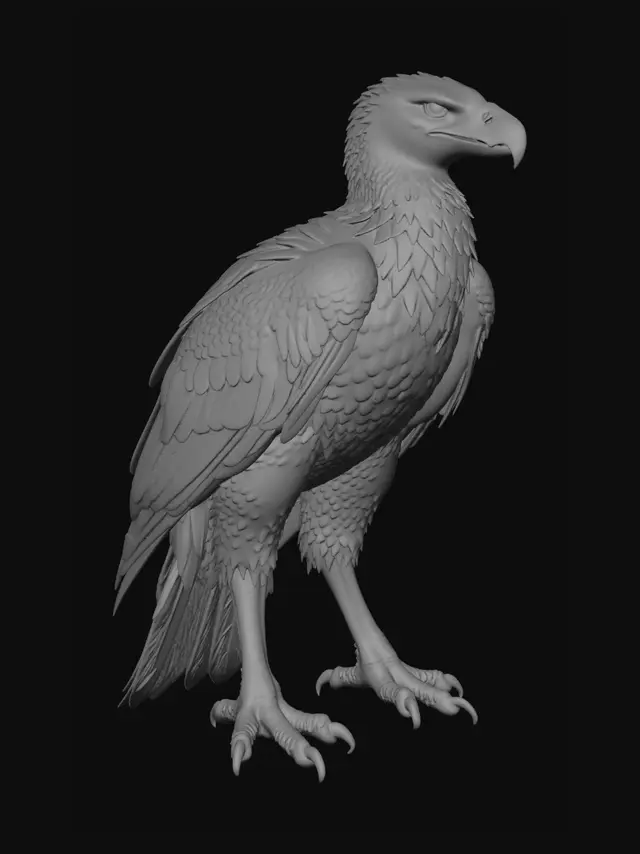3D model for Ebon Talon