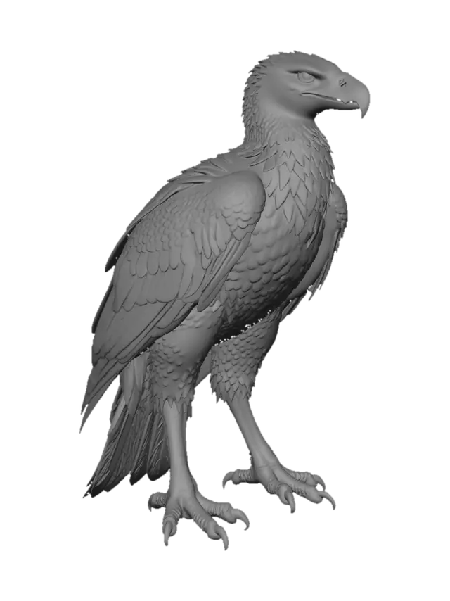 3D model for Ebon Talon