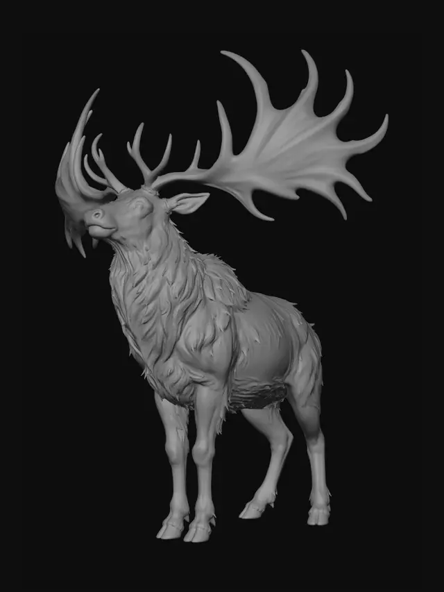 3D model for 
