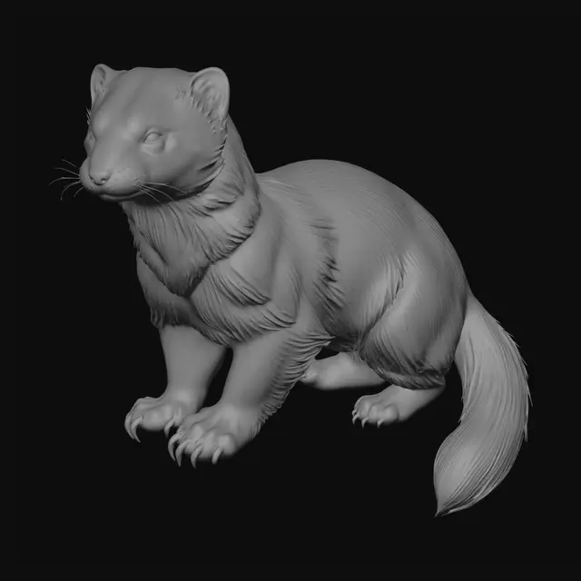 3D model for Midnight Wolf