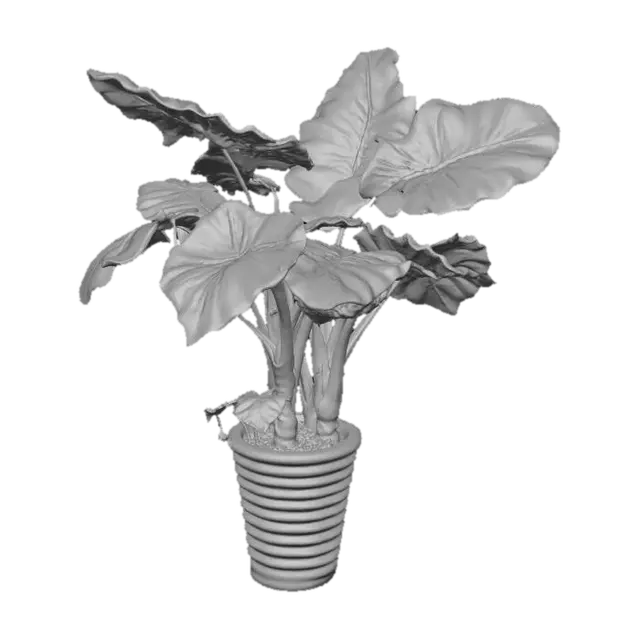 3D model for Tropical Splendor