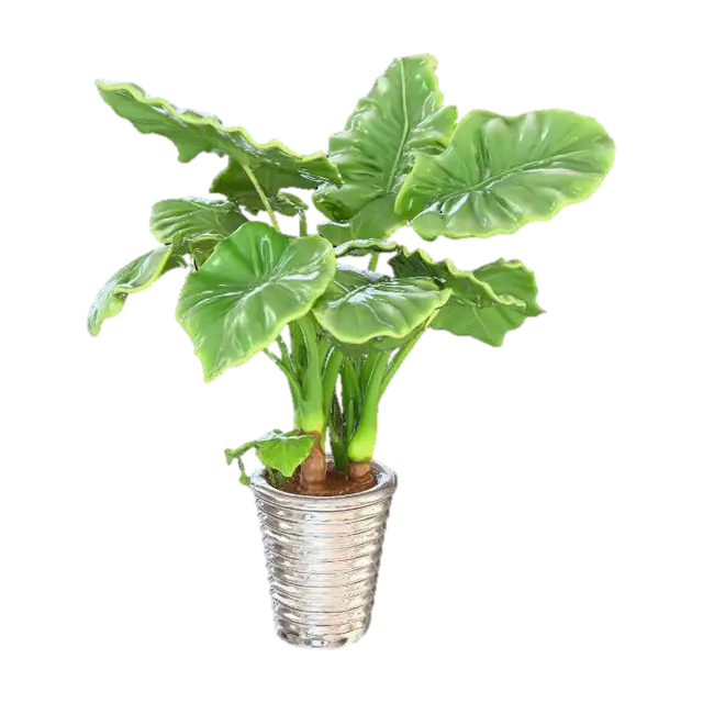 3D model for Tropical Splendor
