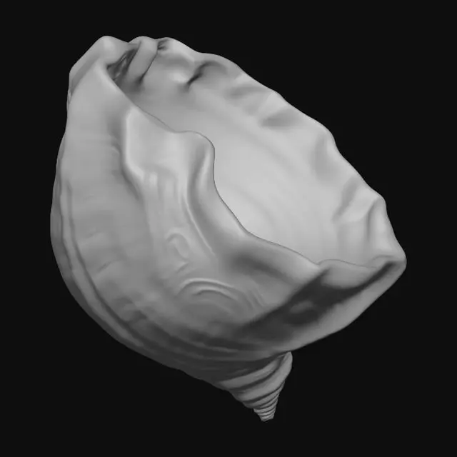 3D model for Ornate conch shell with a universe in the bell.