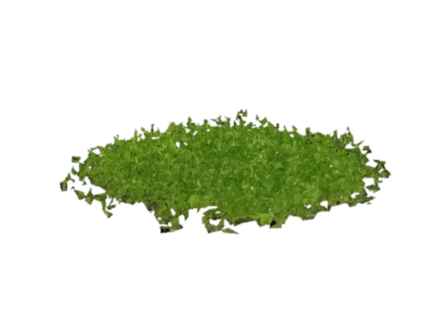 Real small grass 3D model, vytvořený pomocí AI