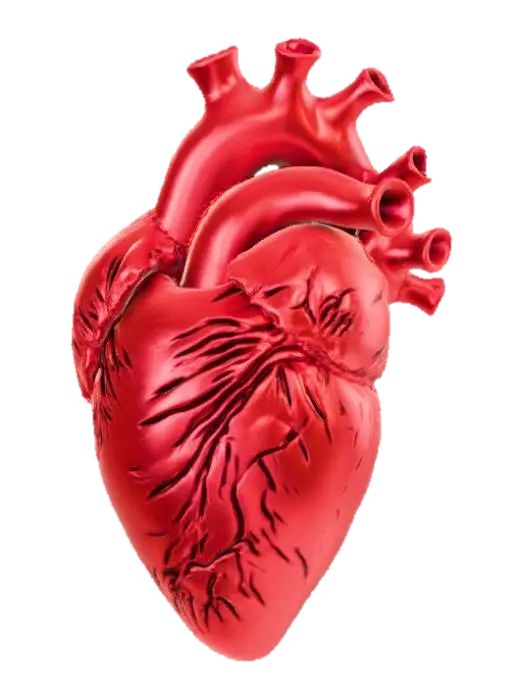 High detail, abstract, heart felt, "I'm Sorry" - Message 3D-model, gegenereerd door AI