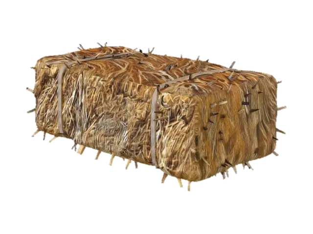 3D model for Hay Bale