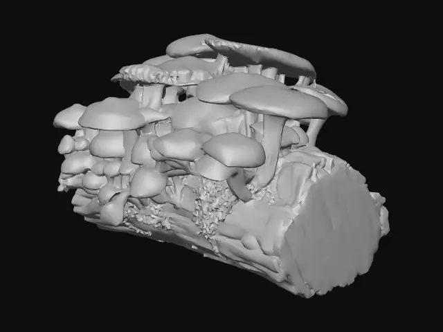 3D model for Cluster of wild forest mushrooms growing on a rotting log, dense forest camp style, camouflaged tarps, muddy terrain covered in pine needles, realistic game asset, 4k pbr