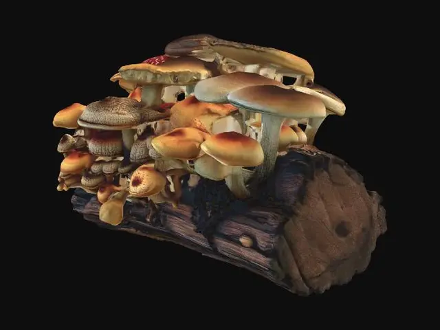 3D model for Cluster of wild forest mushrooms growing on a rotting log, dense forest camp style, camouflaged tarps, muddy terrain covered in pine needles, realistic game asset, 4k pbr