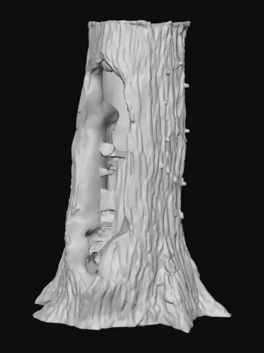 3D model for Hollowed-out tree trunk used as a secret hiding spot for weapons, dense forest camp style, camouflaged tarps, muddy terrain covered in pine needles, realistic game asset, 4k pbr