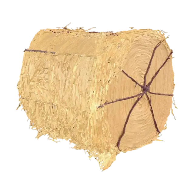 3D model for Large rectangular hay bale, golden yellow and tied with twine, rustic rural farm setup, weathered red barn wood, agricultural tools, realistic game asset, 4k pbr

, rustic rural farm setup, weathered red barn wood, agricultural tools, muddy fields, peaceful but abandoned vibe, realistic game asset, 4k pbr textures