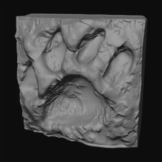 3D model for Pawprint Brick