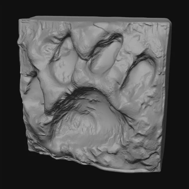 3D model for Pawprint Brick