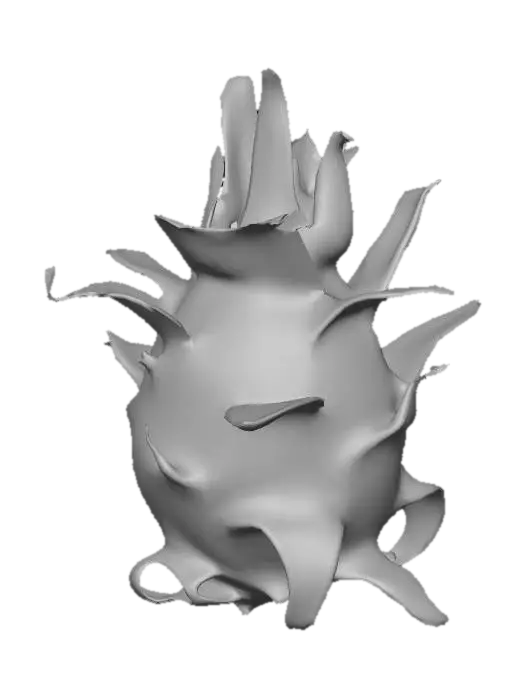 3D model for Dragon Fruit