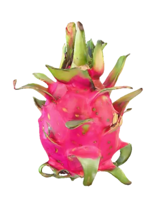 3D model for Dragon Fruit